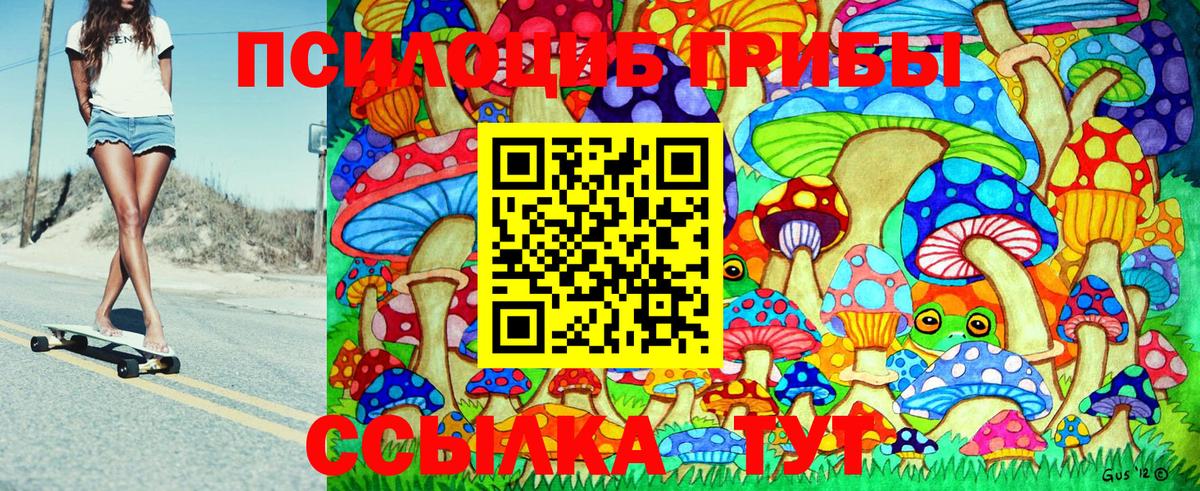 Орск  Галлюциногенные грибы Cubensis  Вход с VPN 
