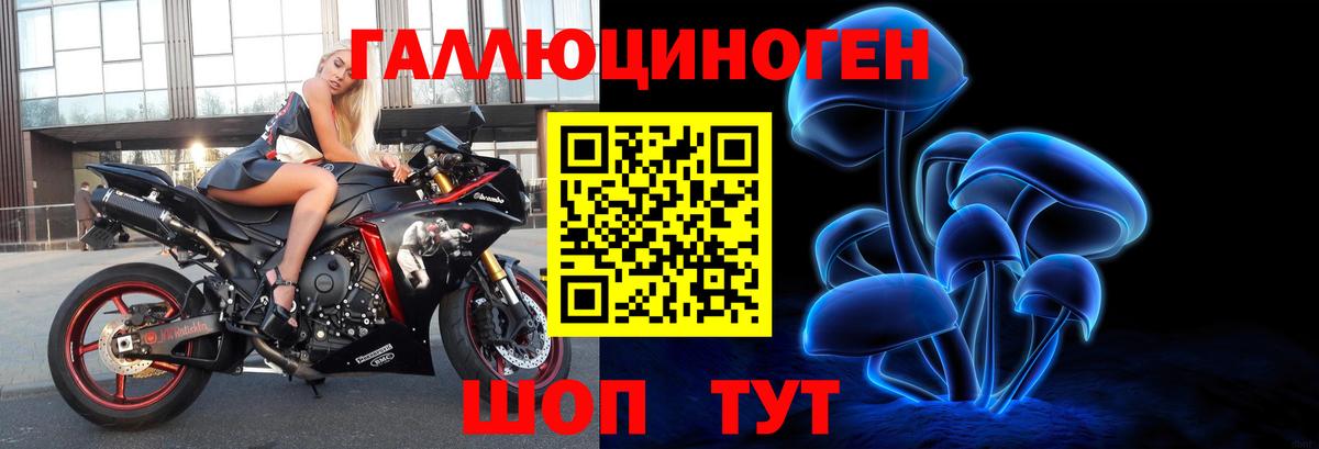 Галлюциногенные грибы Psilocybe Орск